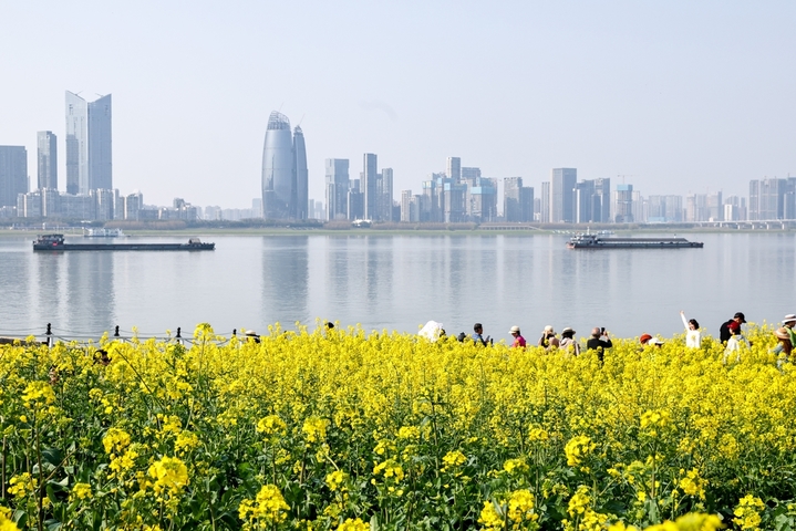 3月11日，湖北武汉，武昌江滩铁机路段灯塔下的油菜花盛放，金黄花田与长江、白色灯塔相映成趣，吸引市民与游客感受春天的气息。图为游客在花间赏花游玩。