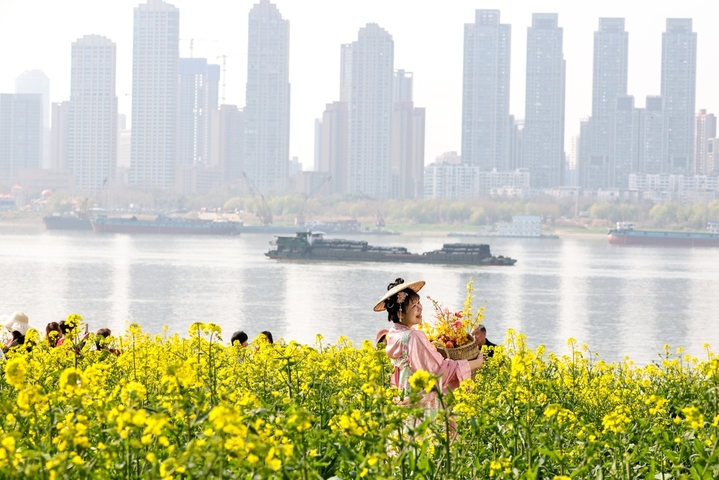 3月11日，湖北武汉，武昌江滩铁机路段灯塔下的油菜花盛放，金黄花田与长江、白色灯塔相映成趣，吸引市民与游客感受春天的气息。图为游客在花间赏花游玩。 