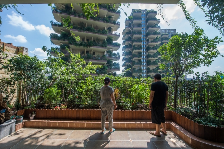 2020年9月7日，四川成都，位于新都区的七一城市森林花园小区，家家户户的阳台拥有超大的私家花园而走红，被网友们誉为“垂直森林”小区。然而截至目前交房已经一年了，整个小区仅有10余户业主入住，入住率极低。一位已入住数月的业主表示，小区的外观和室内的私家花园的确设计很不错，但大量的绿植，也招来了大量的蚊虫等，给平时的生活也带来了困扰，绿植的灌溉和阳台的承重，也让他有一些担忧。
