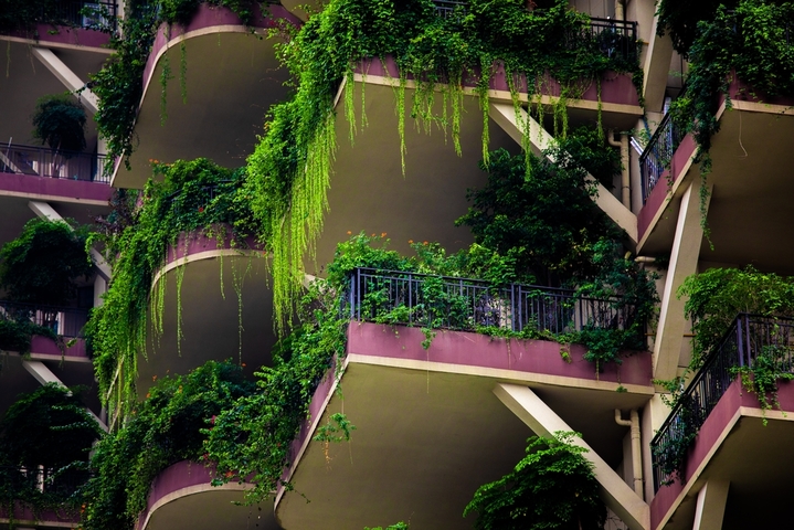 2020年9月15日，成都首个城市森林花园建筑，居民住在三面环景的私家庭院中，层层有街巷，户户有庭院，看起来就像是居住在“森林”中一样。小区人们还能在家种花种菜，乐享田园生活。

