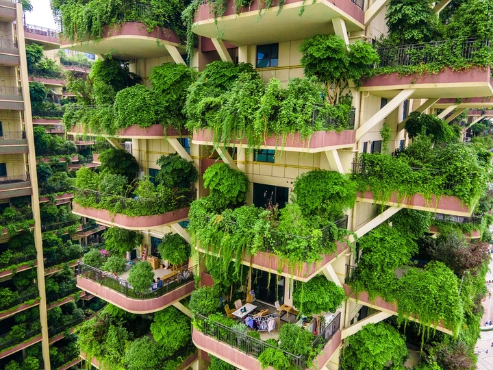 2020年9月15日，成都首个城市森林花园建筑，居民住在三面环景的私家庭院中，层层有街巷，户户有庭院，看起来就像是居住在“森林”中一样。小区人们还能在家种花种菜，乐享田园生活。