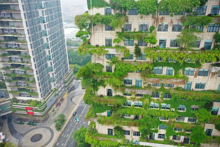 2021年5月10日，广东省佛山市。顺德区碧桂园大道附近一座披着“绿蓑衣”的建筑格外引人瞩目，该建筑每一层都种植了大面积的绿色植物，整体造型“绿意盎然”，形成“垂直森林”景观，让人仿佛置身于热带雨林之中。空中俯瞰，清新而又蓬勃的建筑物如同把片状的森林立体化一般，使钢筋水泥变得柔软，让人置身于建筑又回归了自然。
