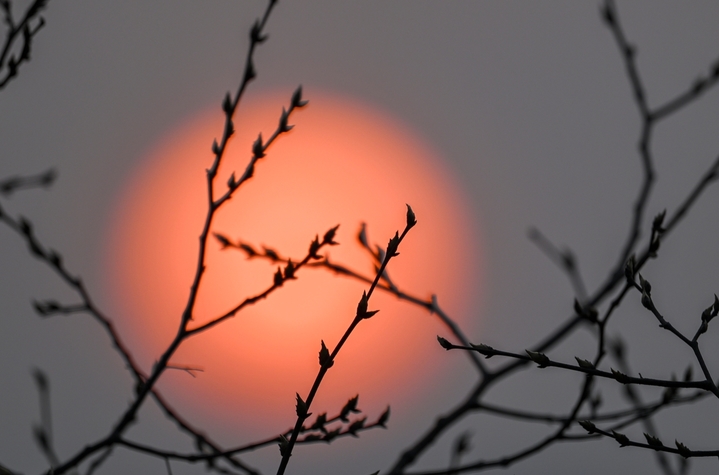 2026年3月13日，重庆，酉阳土家族苗族自治县丁市镇沙溪村，红日跃出群山，薄雾轻笼村落。蜿蜒山道串起层层梯田，袅袅炊烟随霞光升腾，与田间新绿、林间繁花相映。晨光漫过青瓦屋舍，唤醒沉睡的山乡，勾勒出一幅充满烟火气的渝东南春日晨景，尽显乡村田园的诗意与生机。