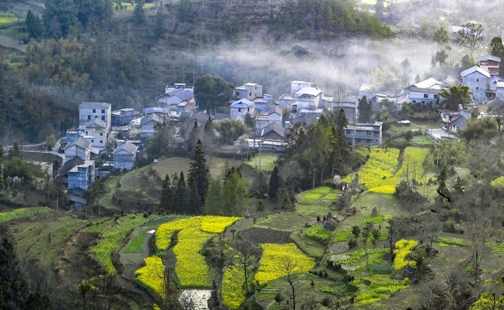 2026年3月13日，重庆，酉阳土家族苗族自治县丁市镇沙溪村，红日跃出群山，薄雾轻笼村落。蜿蜒山道串起层层梯田，袅袅炊烟随霞光升腾，与田间新绿、林间繁花相映。晨光漫过青瓦屋舍，唤醒沉睡的山乡，勾勒出一幅充满烟火气的渝东南春日晨景，尽显乡村田园的诗意与生机。