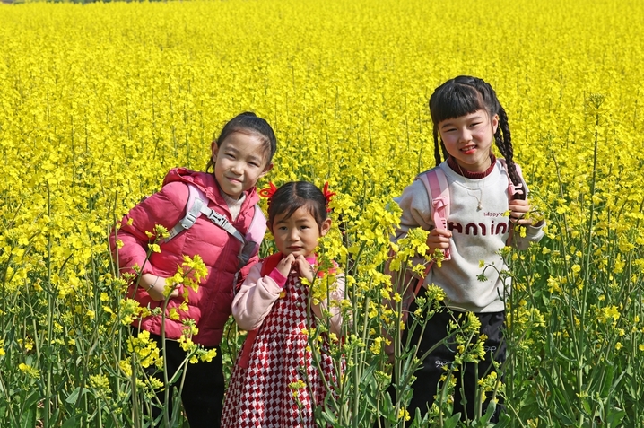 2026年3月14日，春和景明，安徽省芜湖市无为市红庙镇横塘村，村委会联合驻村工作队组织村内留守儿童走进家乡油菜花海，将春日田园变为素质教育实践课堂，在自然中乐享春日美好，感受家乡发展带来的生态之美与生活之乐。