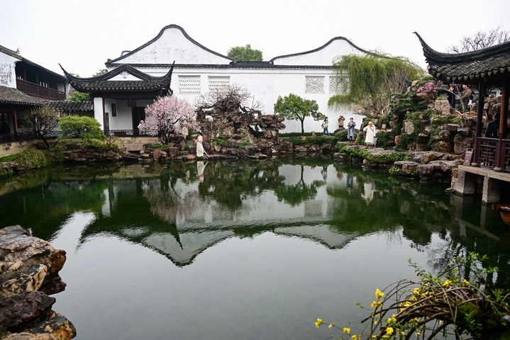 2026年3月17日，江苏苏州，古典园林网师园内花红柳绿，春意盎然，吸引游客前来游玩。