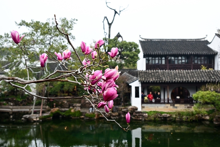 2026年3月17日，江苏苏州，古典园林网师园内花红柳绿，春意盎然，吸引游客前来游玩。