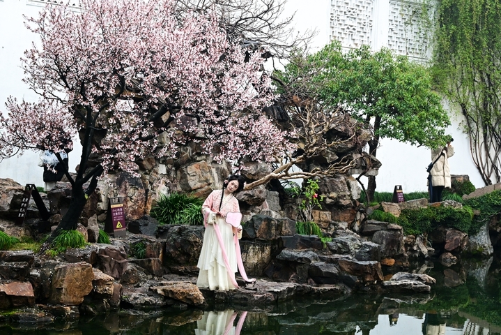 2026年3月17日，江苏苏州，古典园林网师园内花红柳绿，春意盎然，吸引游客前来游玩。