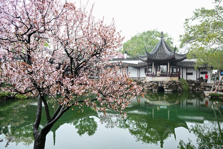 2026年3月17日，江苏苏州，古典园林网师园内花红柳绿，春意盎然，吸引游客前来游玩。管钰楠/IC photo