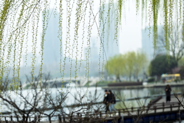 2026年3月18日，南京市，游客在玄武湖公园赏景游玩。初春时节，江苏省南京市玄武湖公园花艳柳绿，景色宜人，吸引市民游客前往观赏游玩。