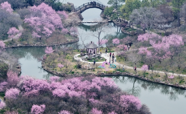  2026年3月15日，江苏扬州，春暖花开时节，瘦西湖风景区鲜花绽放，春意盎然，游人如织，呈现出“桃红柳绿”的春日美景，吸引众多游客前来踏青赏花，感受美好春光。
