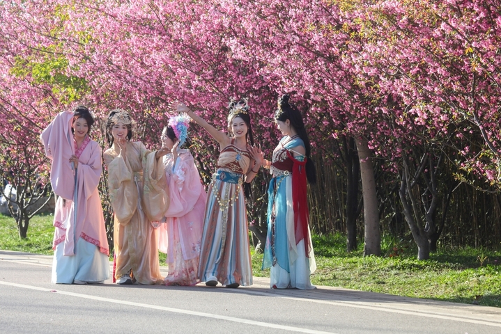  2026年3月19日，贵州省毕节市威宁自治县草海北坡公园内，海棠花迎来盛花期，一簇簇、一树树海棠缀满枝头，浓淡有致、娇艳动人，吸引了大批市民游客前来踏青赏景、打卡留念，共赴一场春日里的浪漫花约。
