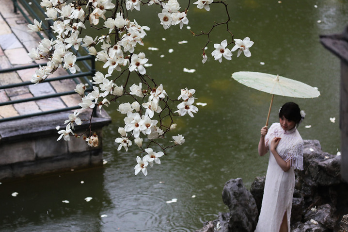 2026年3月17日，江苏扬州，早春的何园百年玉兰初绽莹白，暗香绕回廊，古园尚含清寂，却藏萌动生机，一步一景，尽是江南早春的温婉诗意。吸引游客纷纷前来，共赏中式园林美景。陈霞/视觉中国
