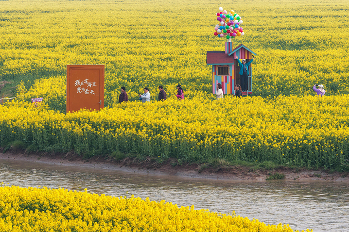 2026年3月20日，江苏高邮“湖上花海”景区千亩金黄花田与高邮湖碧波交相辉映，构成一幅春日胜景，吸引八方游客共赴这场春天的约会。（无人机照片）