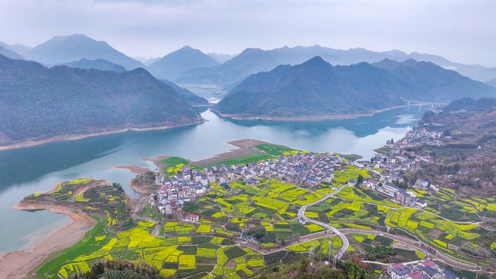 2026年3月22日，浙江省杭州市淳安县文昌镇富山村油菜花陆续开放，金黄色的油菜花、青黛色的山峰、碧绿的湖水交相辉映，勾勒出一幅生态秀美的乡村春日画卷。