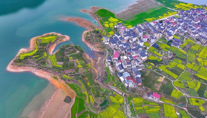 2026年3月22日，浙江省杭州市淳安县文昌镇富山村油菜花陆续开放，金黄色的油菜花、青黛色的山峰、碧绿的湖水交相辉映，勾勒出一幅生态秀美的乡村春日画卷。