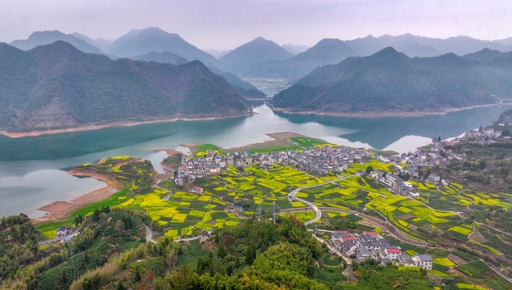 2026年3月22日，浙江省杭州市淳安县文昌镇富山村油菜花陆续开放，金黄色的油菜花、青黛色的山峰、碧绿的湖水交相辉映，勾勒出一幅生态秀美的乡村春日画卷。