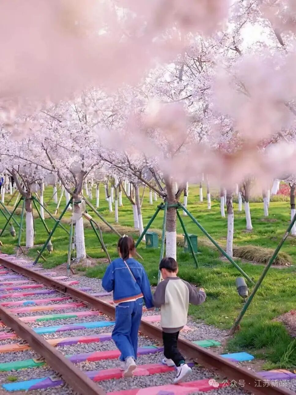 65d3ac41411f442ac9eff0dcfe0531c4