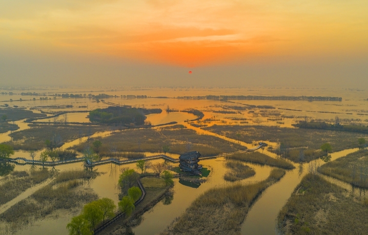 2026年3月26日，江苏省泗洪洪泽湖湿地临淮段风光旖旎。一望无际的原生态湿地景美如画，嫩绿的野柳与芦苇交相辉映，蜿蜒曲折的深呼吸通道与观鸟台相映成趣，碧绿的湖水与金色芦苇相映生辉。春日湿地水绿景秀，处处生机盎然，勾勒出一幅秀美的生态画卷。