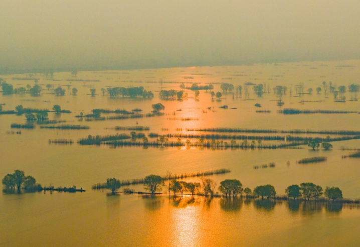2026年3月26日，江苏省泗洪洪泽湖湿地临淮段风光旖旎。一望无际的原生态湿地景美如画，嫩绿的野柳与芦苇交相辉映，蜿蜒曲折的深呼吸通道与观鸟台相映成趣，碧绿的湖水与金色芦苇相映生辉。春日湿地水绿景秀，处处生机盎然，勾勒出一幅秀美的生态画卷。