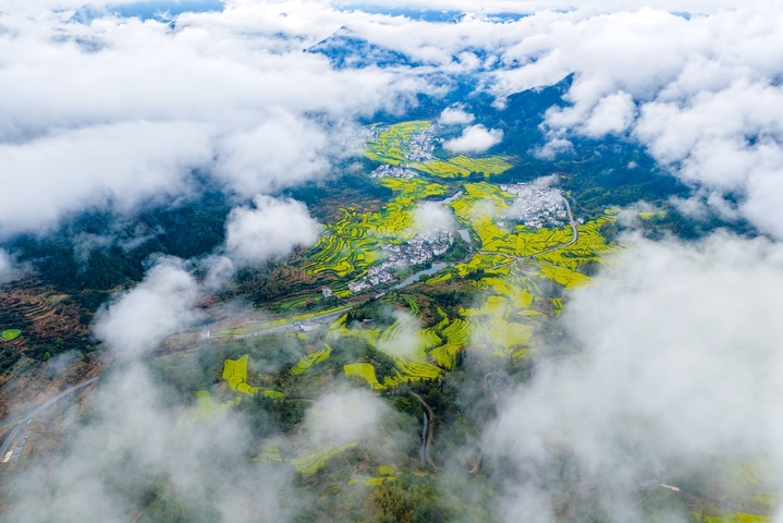 2026年3月27日，江西婺源江岭景区云雾缭绕，万亩梯田油菜花海金浪翻涌，白墙黛瓦的村落若隐若现，宛如一幅流动的水墨长卷。春日的江岭，以花为墨、以山为纸，绘就出中国最美乡村的诗意画卷，吸引八方游客共赴这场春天的盛宴。