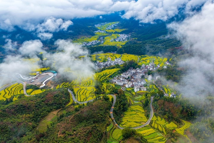2026年3月27日，江西婺源江岭景区云雾缭绕，万亩梯田油菜花海金浪翻涌，白墙黛瓦的村落若隐若现，宛如一幅流动的水墨长卷。春日的江岭，以花为墨、以山为纸，绘就出中国最美乡村的诗意画卷，吸引八方游客共赴这场春天的盛宴。