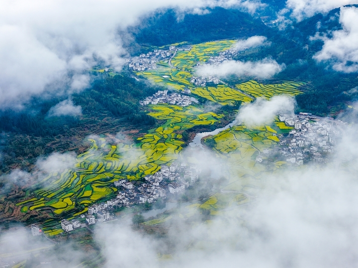2026年3月27日，江西婺源江岭景区云雾缭绕，万亩梯田油菜花海金浪翻涌，白墙黛瓦的村落若隐若现，宛如一幅流动的水墨长卷。春日的江岭，以花为墨、以山为纸，绘就出中国最美乡村的诗意画卷，吸引八方游客共赴这场春天的盛宴。IC photo