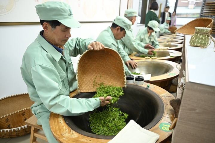 2026年3月27日，多名采茶工在茶山采摘鲜叶。近日，浙江杭州西湖龙井明前茶已迎来大面积开采，当地炒茶师以传统技艺手工炒制龙井新茶，守护龙井千年飘香。来源：IC photo
