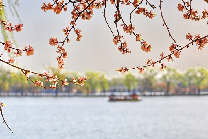 2026年3月27日，北京，颐和园春明景和，春意融融，莺飞草长，鸟语花香，昆明湖水碧波荡漾，西堤绿柳成行，远山如黛，宛若水墨图画。
