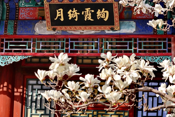 2026年3月27日，北京，颐和园春明景和，春意融融，莺飞草长，鸟语花香，昆明湖水碧波荡漾，西堤绿柳成行，远山如黛，宛若水墨图画。
