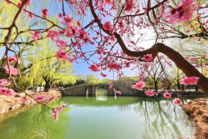 2026年3月27日，北京，颐和园春明景和，春意融融，莺飞草长，鸟语花香，昆明湖水碧波荡漾，西堤绿柳成行，远山如黛，宛若水墨图画。来源：刘宪国/IC photo

