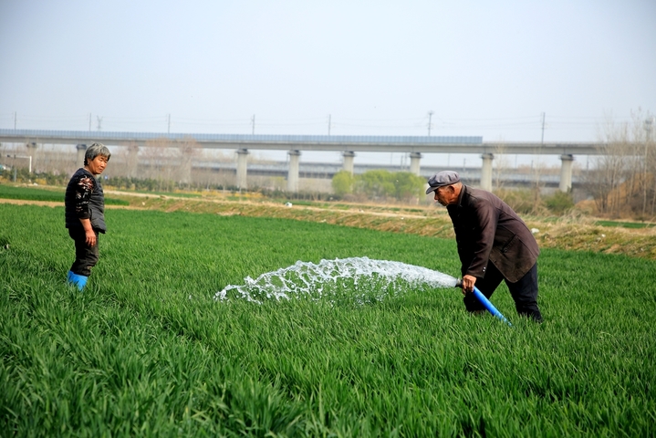 2026年3月29日，山东省日照市，在岚山区高兴镇的广袤田野上，当地农户正抢抓近期晴好的天气与有利墒情，开展麦田春灌作业。忙碌的身影与翠绿的田野，构成了最动人的春耕图景。