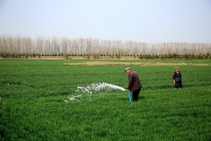 2026年3月29日，山东省日照市，在岚山区高兴镇的广袤田野上，当地农户正抢抓近期晴好的天气与有利墒情，开展麦田春灌作业。忙碌的身影与翠绿的田野，构成了最动人的春耕图景。