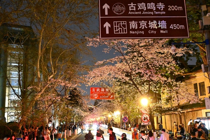 2026年3月29日晚，游客在南京鸡鸣寺樱花路上赏花游玩。