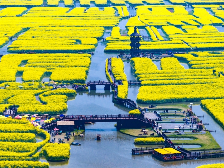 2026年4月2日，游客在江苏省兴化千垛景区赏花游玩。
