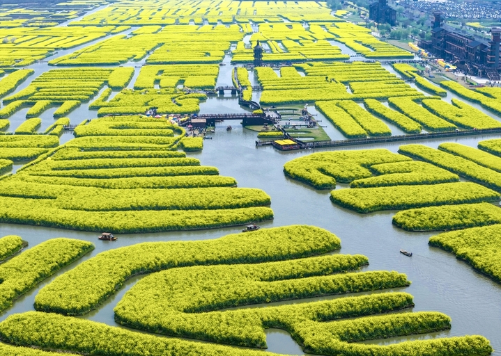 2026年4月2日，游客在江苏省兴化千垛景区赏花游玩。
