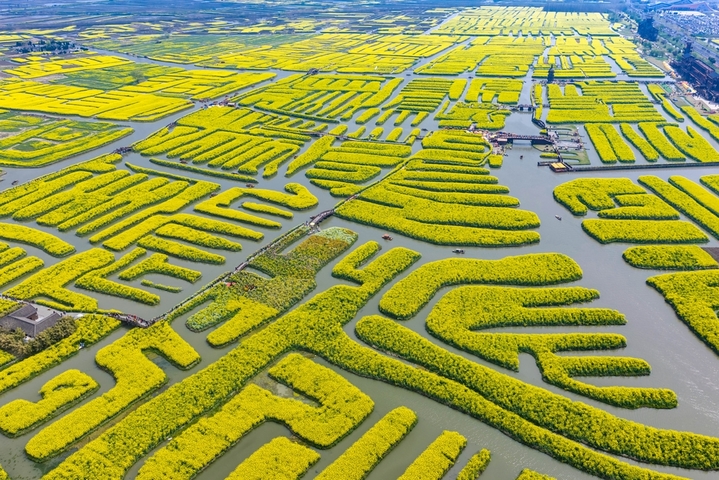 2026年4月2日，游客在江苏省兴化千垛景区赏花游玩。
