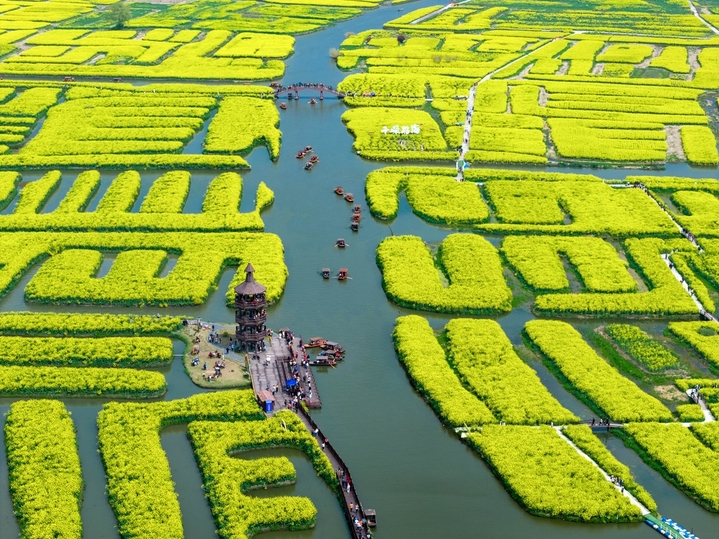 2026年4月2日，游客在江苏省兴化千垛景区赏花游玩。近日，江苏省兴化市千垛景区油菜花进入最佳观赏季。在春日阳光下，金黄的花海与澄澈碧水交相辉映， “河有万湾多碧水，田无一垛不黄花” 的独特水乡画卷吸引众多游客前来赏花游玩、乐享美好春天。来源：杨素平/IC photo

