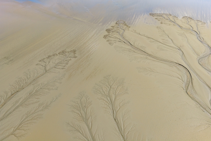 2026年4月2日，浙江嘉兴海宁黄湾镇，钱塘江退潮后滩涂显露“潮汐树”景观。潮水冲刷形成树枝状沟壑，与天光云影相映，宛如大地艺术。
