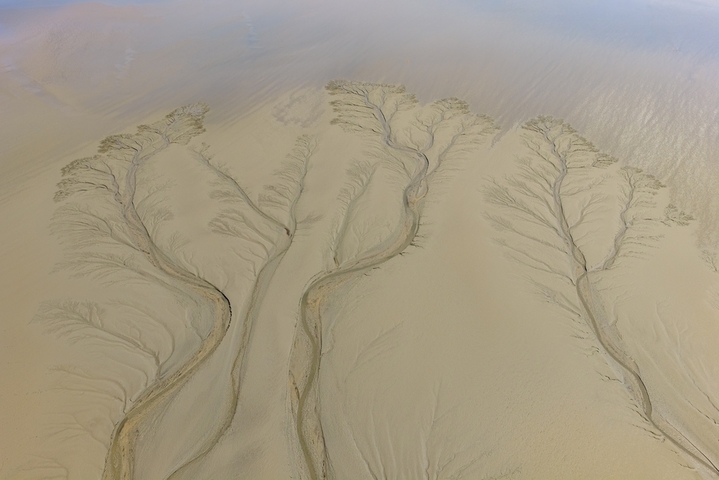 2026年4月2日，浙江嘉兴海宁黄湾镇，钱塘江退潮后滩涂显露“潮汐树”景观。潮水冲刷形成树枝状沟壑，与天光云影相映，宛如大地艺术。
