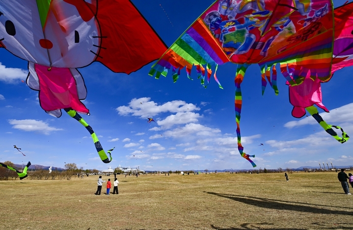 2026年4月5日，风筝爱好者在呼和浩特敕勒川草原放飞大型软体风筝。
