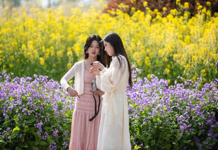 2026年4月5日，市民与游客在江苏省淮安市古黄河生态民俗园踏青游玩。当日是清明节，人们纷纷走出户外，尽情亲近自然，在春日美景里放松身心，乐享清明小长假。
