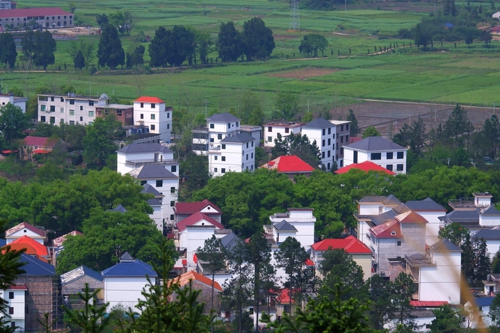2026年4月9日，四月的江西省永新县，草木葱茏风和日丽，乡村错落有致特色民居和形状各异大小不一农田，在红艳艳杜鹃花映衬下，构成春日如诗如画美不胜收的一幅田园风光图。该县龙源口镇境内如诗如画的田园风光。