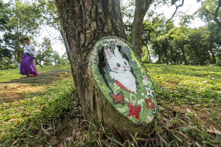 2026年4月9日，广西壮族自治区南宁市，精美的“树洞画”涂鸦，惟妙惟肖吸睛。