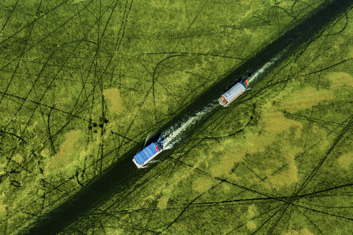 2026年4月12日，山东微山，游客乘船在独山湖游览湖景，打卡“水下森林”风光。