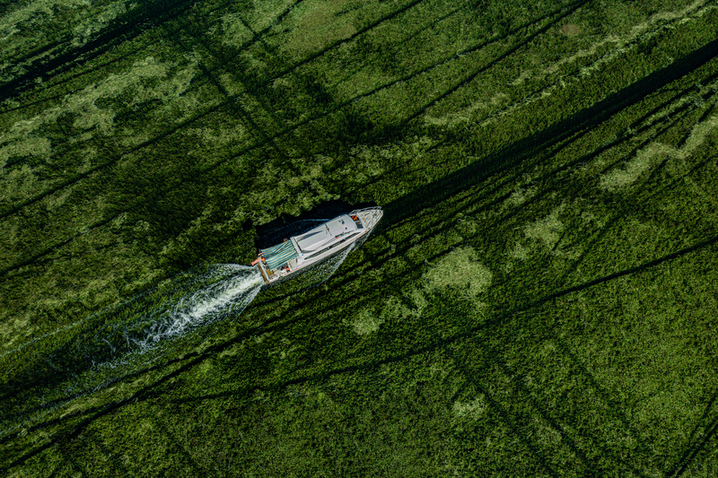 2026年4月12日，山东微山，游客乘船在独山湖游览湖景，打卡“水下森林”风光。