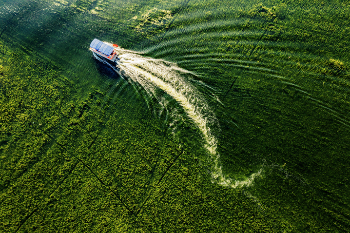 2026年4月12日，山东微山，游客乘船在独山湖游览湖景，打卡“水下森林”风光。