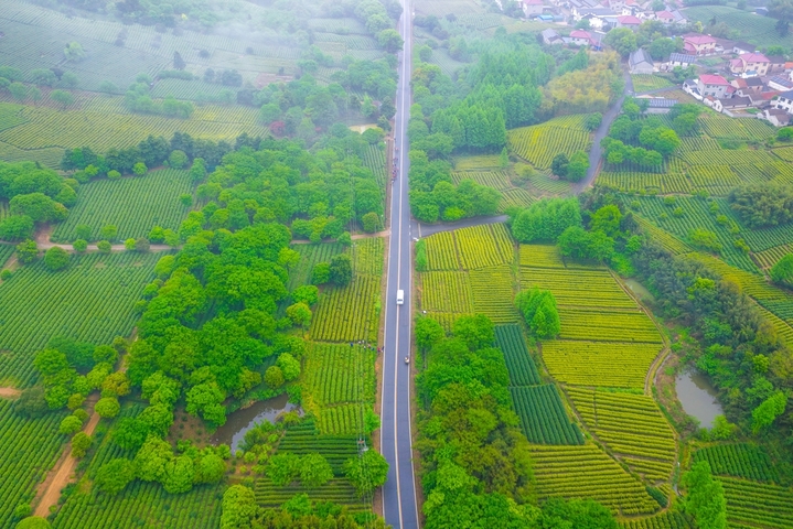 2026年4月17日，浙江安吉溪龙乡白茶公园云雾缭绕，层层茶园如绿色波浪铺展山间，美不胜收。