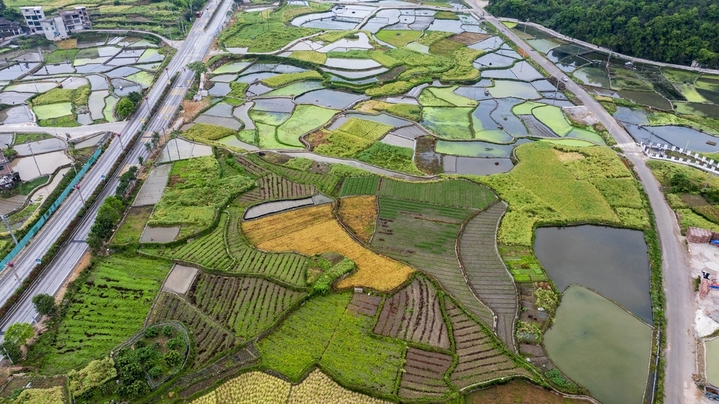 2026年4月15日，在贵州省从江县贯洞镇拍摄的田园春色（无人机照片）。
