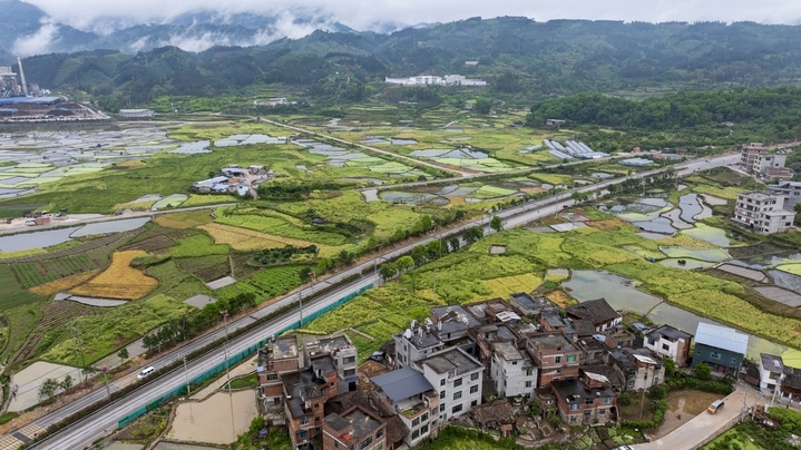 2026年4月15日，在贵州省从江县贯洞镇拍摄的田园春色（无人机照片）。
